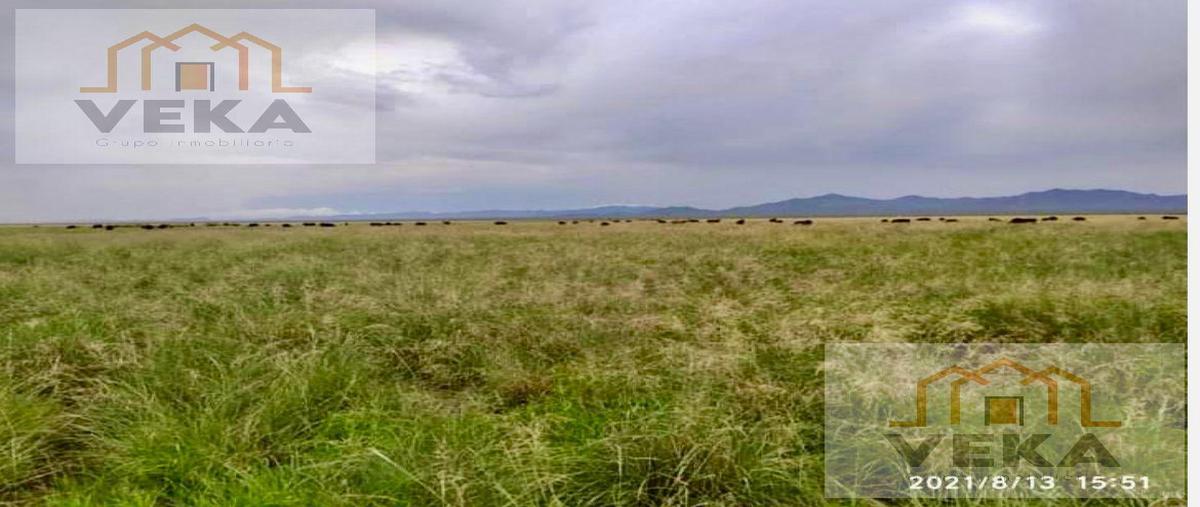 Foto de rancho en , ahumada, ahumada, chihuahua, 27943947 foto 01 Foto de rancho en venta en , ahumada, ahumada, chihuahua, 27943947 No. 01