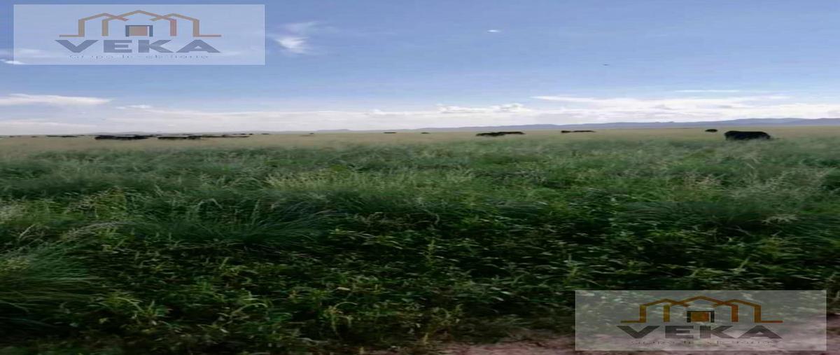Foto de rancho en , ahumada, ahumada, chihuahua, 27943947 foto 02 Foto de rancho en venta en , ahumada, ahumada, chihuahua, 27943947 No. 02
