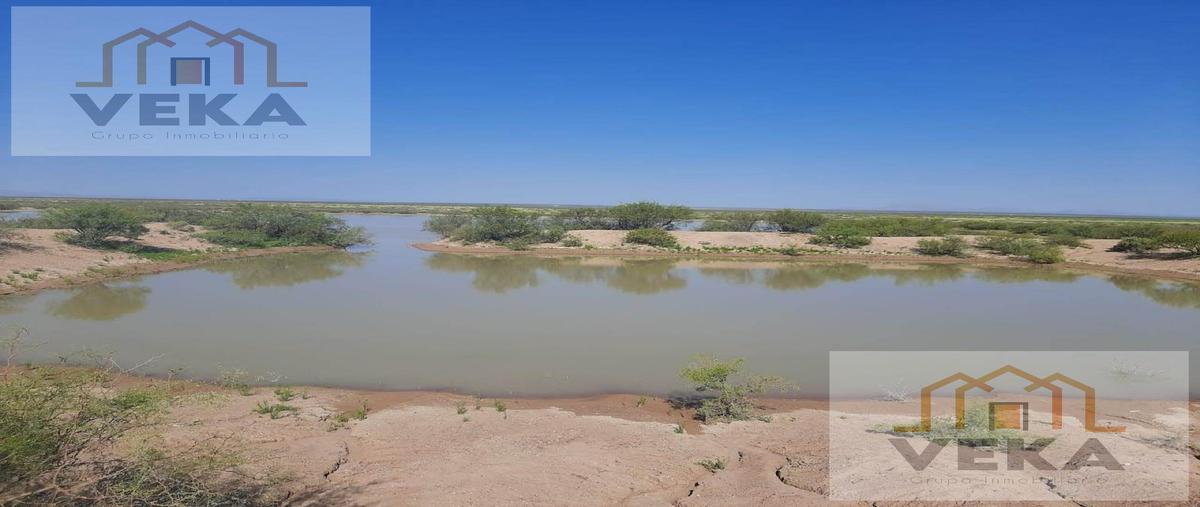 Foto de rancho en , ahumada, ahumada, chihuahua, 28603587 foto 02 Foto de rancho en venta en , ahumada, ahumada, chihuahua, 28603587 No. 02