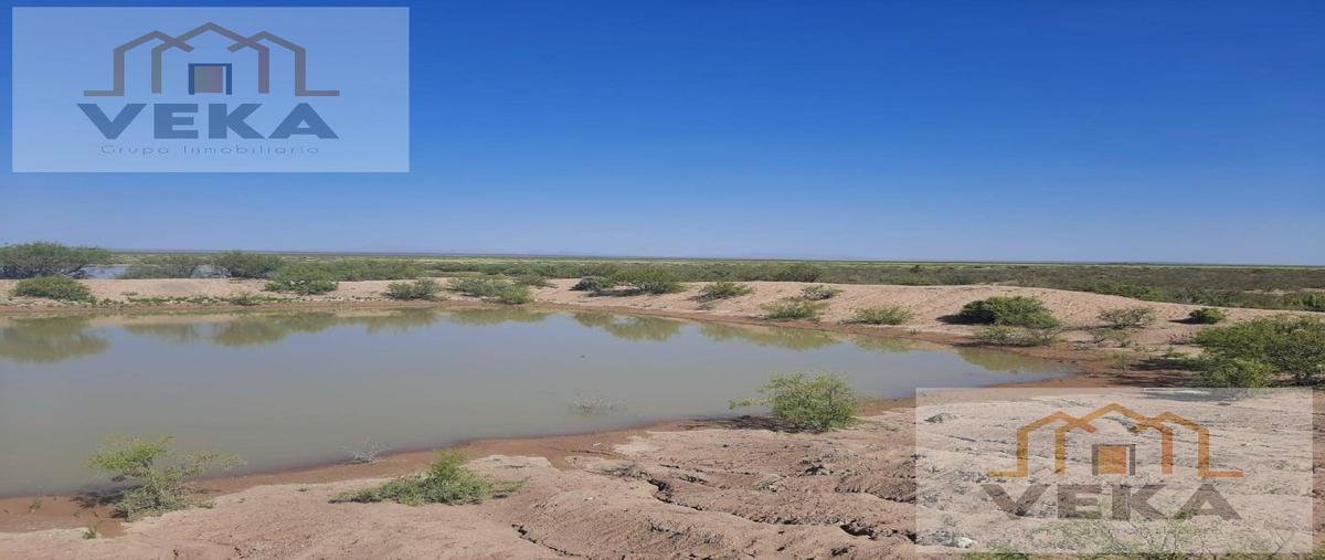 Foto de rancho en , ahumada, ahumada, chihuahua, 28603587 foto 03 Foto de rancho en venta en , ahumada, ahumada, chihuahua, 28603587 No. 03