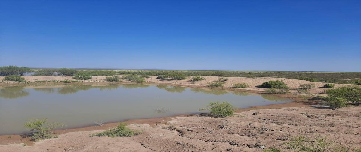 Foto de rancho en venta en  , ahumada, ahumada, chihuahua, 28603587 No. 03