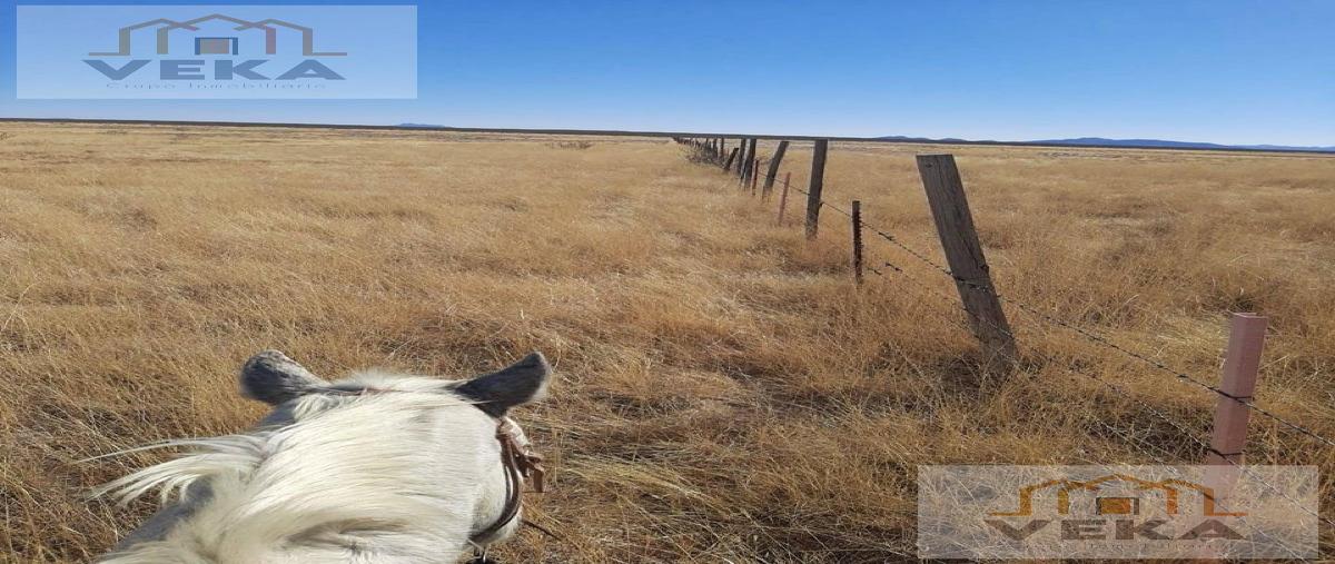 Foto de rancho en , ahumada, ahumada, chihuahua, 28603587 foto 05 Foto de rancho en venta en , ahumada, ahumada, chihuahua, 28603587 No. 05