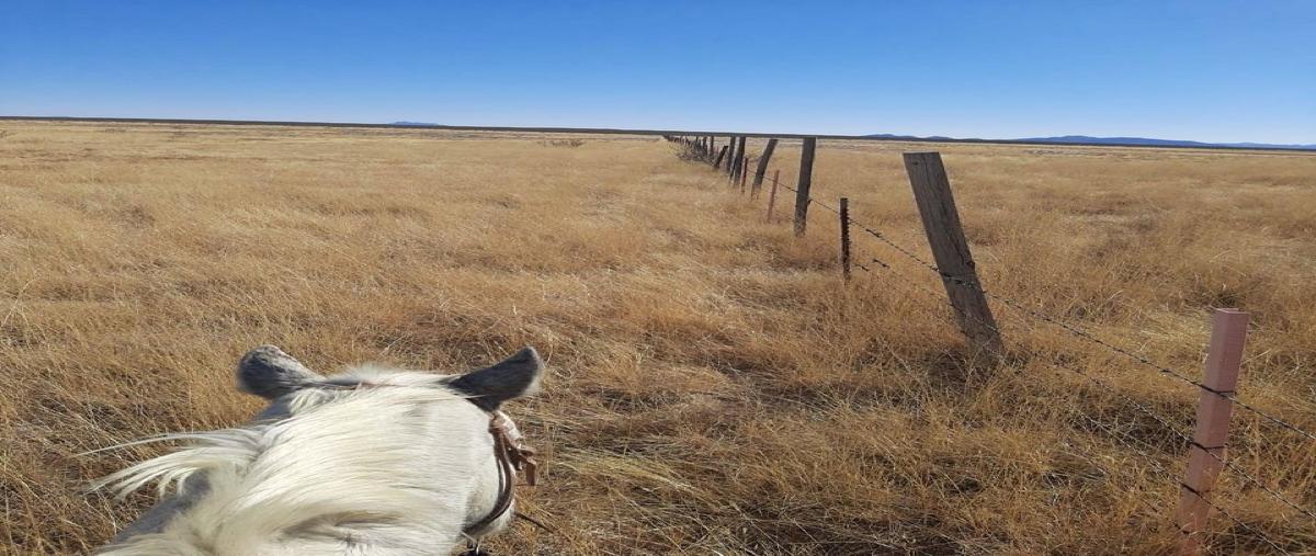 Foto de rancho en venta en  , ahumada, ahumada, chihuahua, 28603587 No. 05