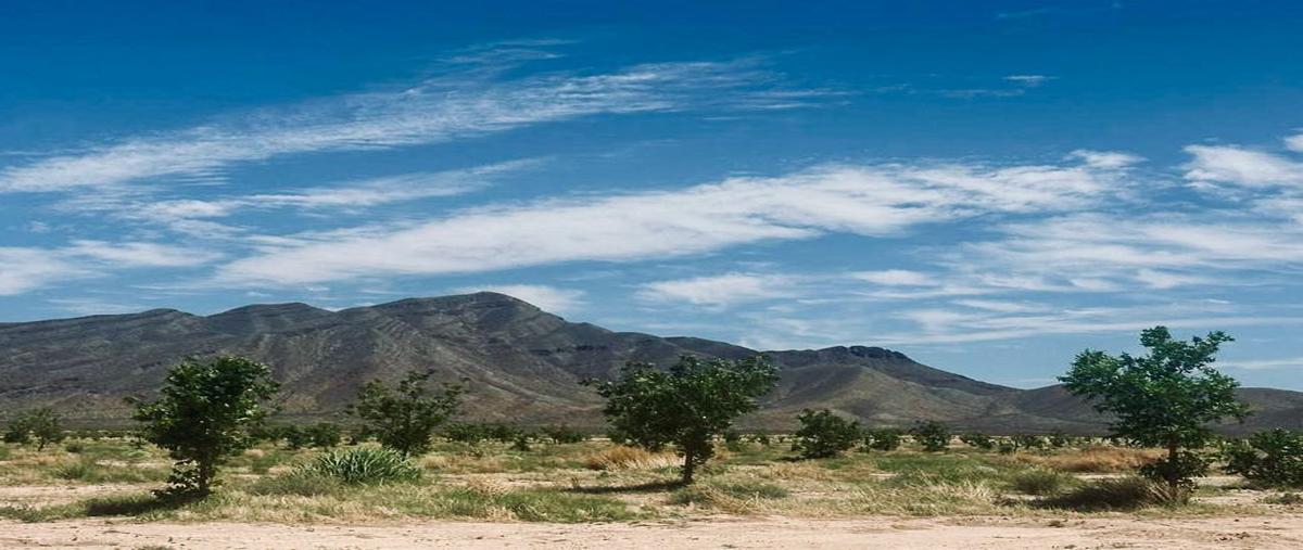 Foto de rancho en venta en  , ahumada, ahumada, chihuahua, 0 No. 03