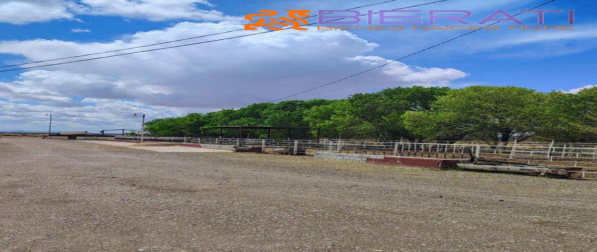 Foto de rancho en venta en  , ahumada, ahumada, chihuahua, 0 No. 04