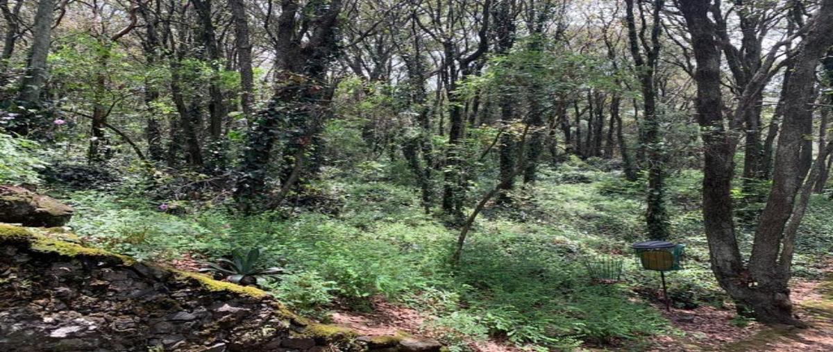 Foto de terreno habitacional en venta en aire puro 0, tlalpuente, tlalpan, df / cdmx, 30207910 No. 03