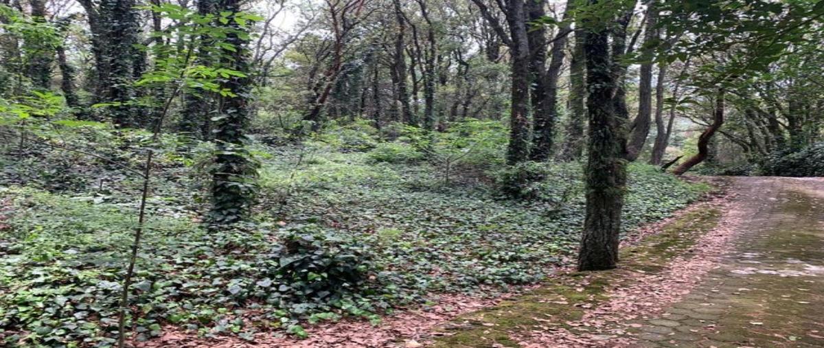 Foto de terreno habitacional en venta en aire puro 0, tlalpuente, tlalpan, df / cdmx, 30207910 No. 04