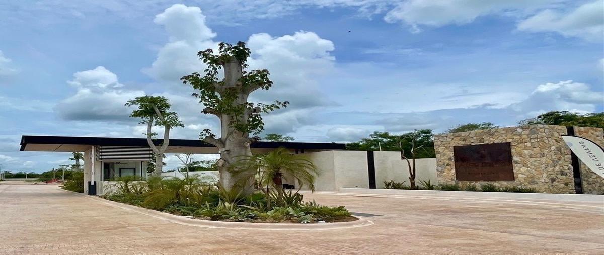 Foto de terreno habitacional en venta en aire puro , san ignacio, progreso, yucatán, 0 No. 03