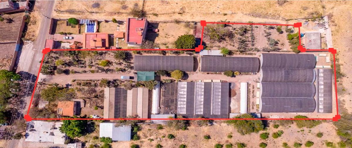 Foto de terreno habitacional en venta en  , ajijic centro, chapala, jalisco, 0 No. 03