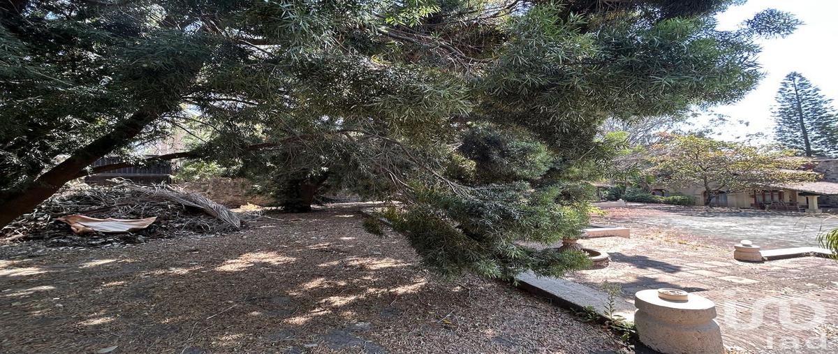 Foto de terreno habitacional en venta en ajusco 87, bellavista, cuernavaca, morelos, 30976575 No. 05