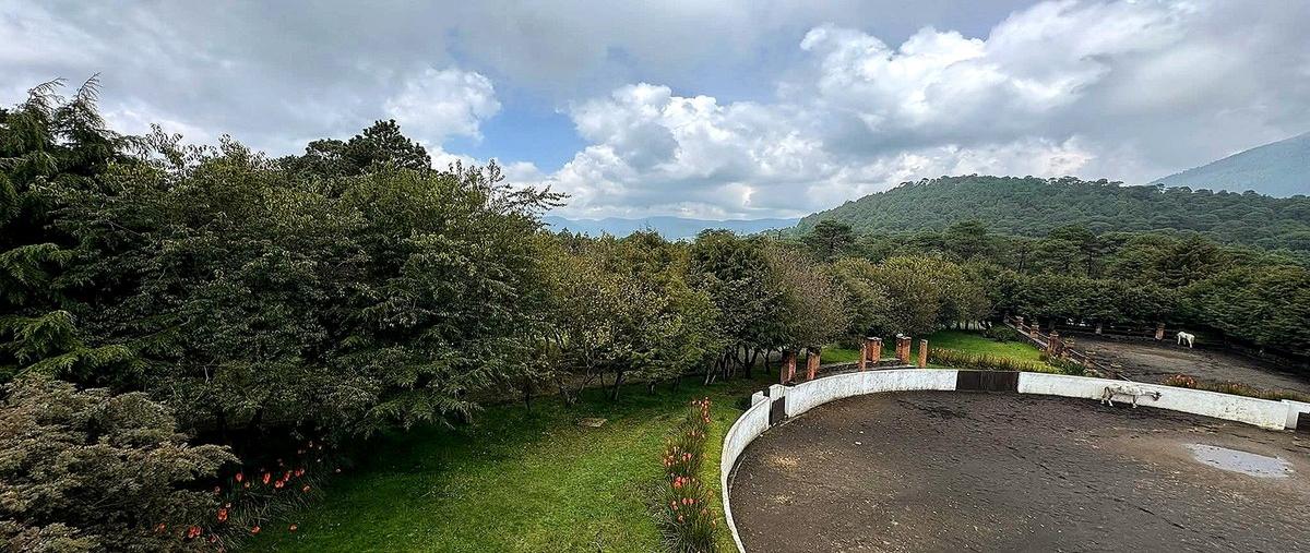 Foto de rancho en venta en ajusco , jardines del ajusco, tlalpan, df / cdmx, 30471192 No. 05