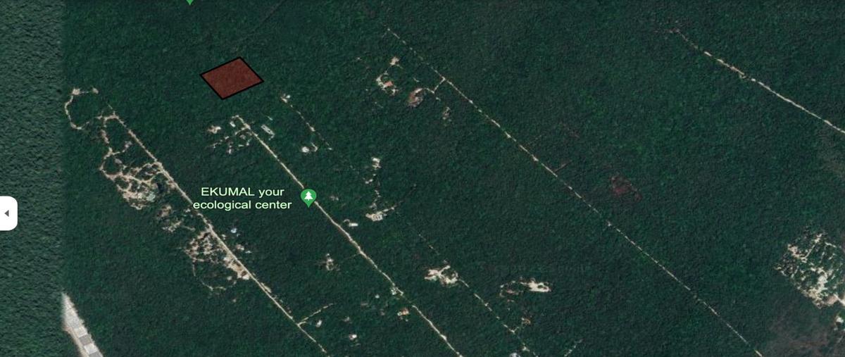 Foto de terreno habitacional en venta en akumal , akumal, tulum, quintana roo, 28172068 No. 03