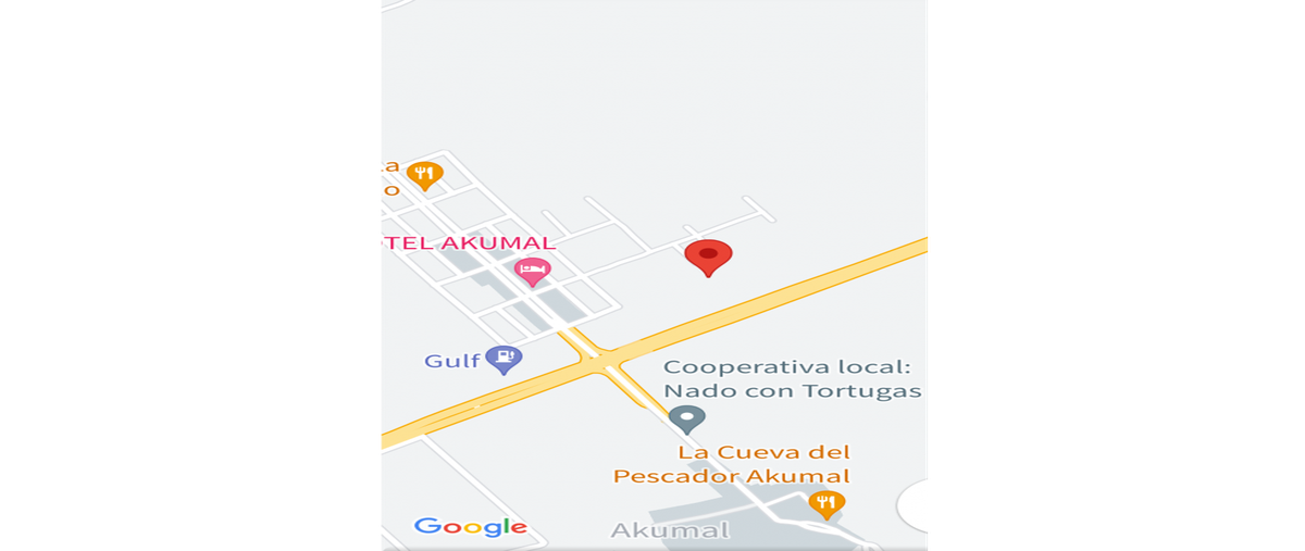 Foto de terreno habitacional en venta en  , akumal, tulum, quintana roo, 0 No. 04