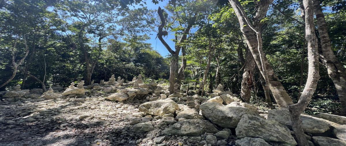 Foto de terreno habitacional en venta en  , akumal, tulum, quintana roo, 26351352 No. 04