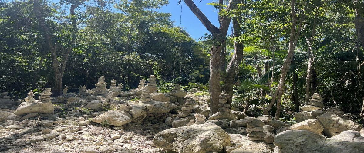 Foto de terreno habitacional en venta en  , akumal, tulum, quintana roo, 26351352 No. 05