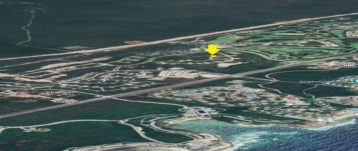 Foto de terreno habitacional en venta en  , akumal, tulum, quintana roo, 27113090 No. 05