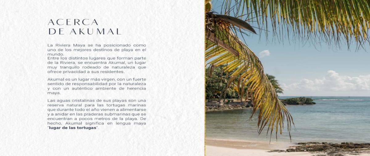 Foto de departamento en venta en  , akumal, tulum, quintana roo, 27471728 No. 03