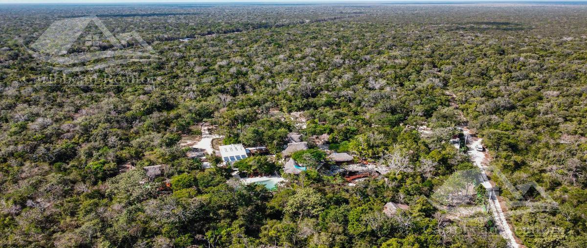 Foto de terreno habitacional en venta en  , akumal, tulum, quintana roo, 27745441 No. 04