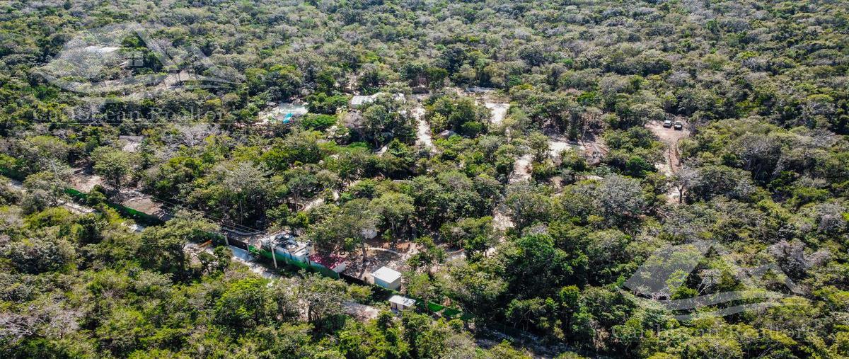 Foto de terreno habitacional en venta en  , akumal, tulum, quintana roo, 27745441 No. 05