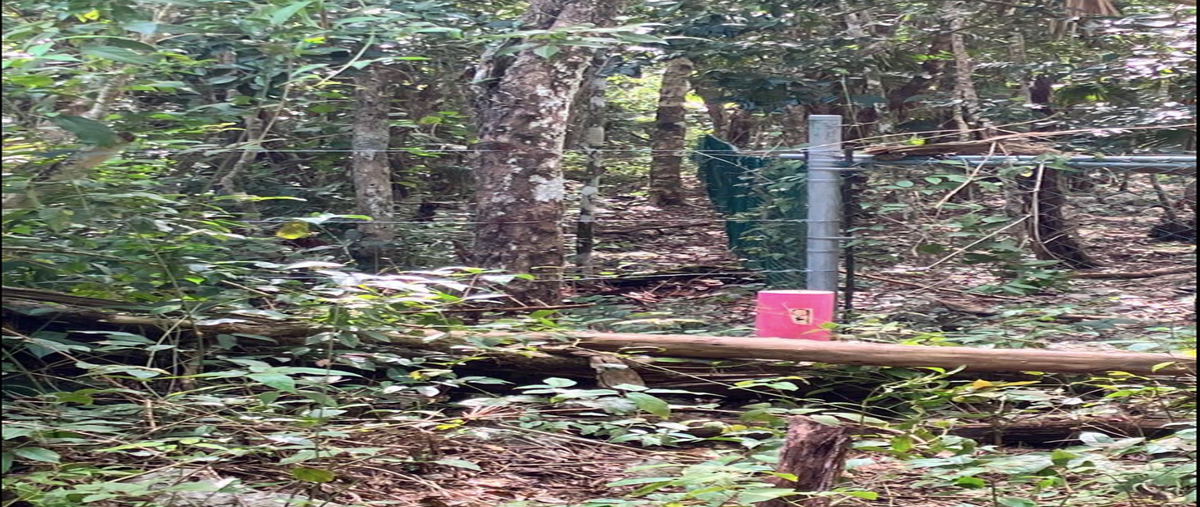 Foto de terreno habitacional en venta en  , akumal, tulum, quintana roo, 28215163 No. 03