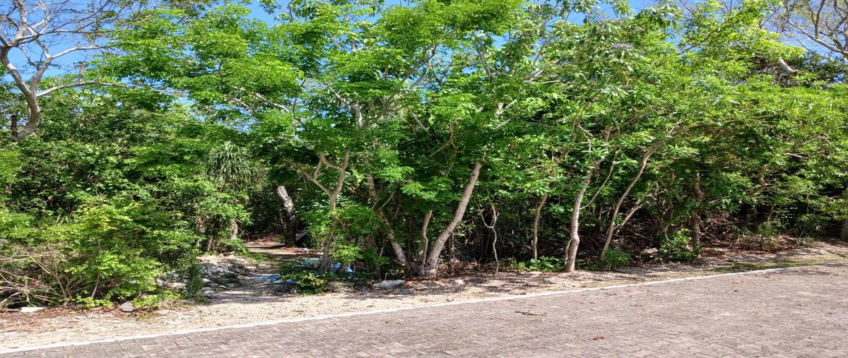 Foto de terreno habitacional en venta en  , akumal, tulum, quintana roo, 0 No. 03