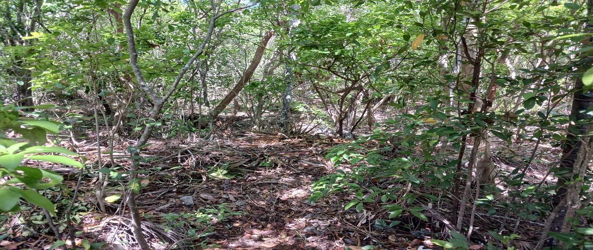 Foto de terreno habitacional en venta en  , akumal, tulum, quintana roo, 0 No. 04