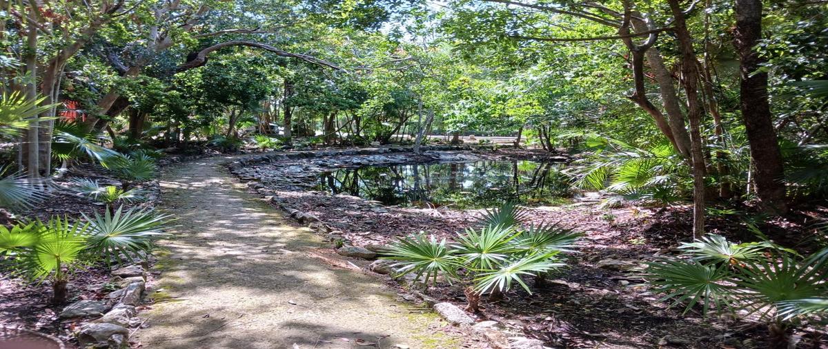 Foto de terreno habitacional en venta en  , akumal, tulum, quintana roo, 0 No. 05