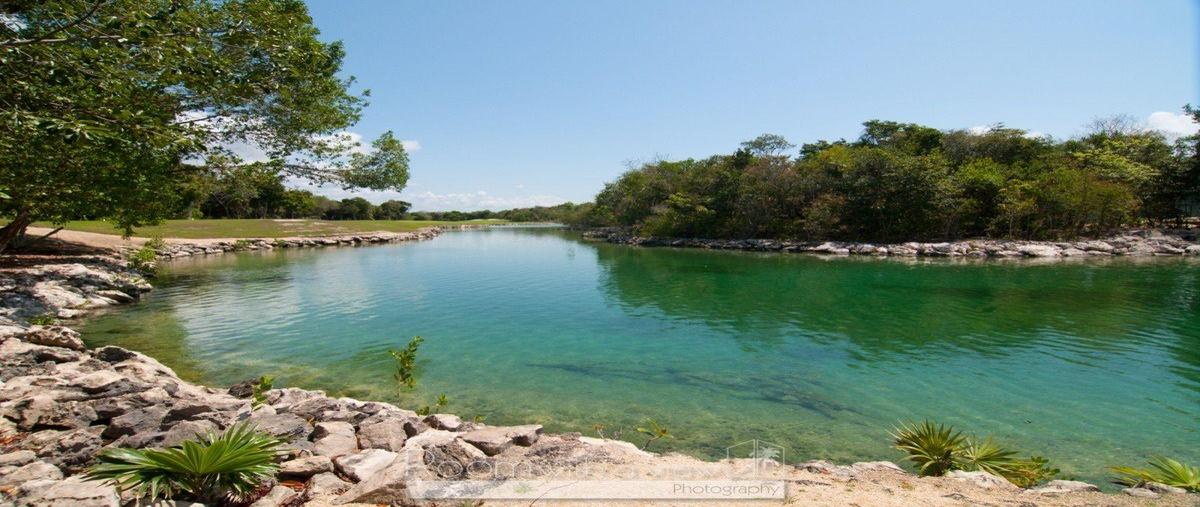 Foto de terreno habitacional en venta en  , akumal, tulum, quintana roo, 0 No. 03