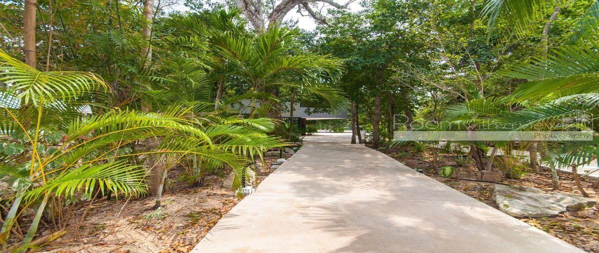Foto de departamento en , akumal, tulum, quintana roo, 28785172 foto 04 Foto de departamento en venta en , akumal, tulum, quintana roo, 28785172 No. 04