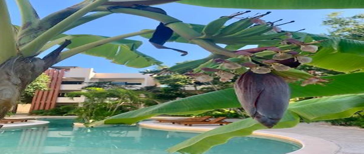 Foto de departamento en venta en  , akumal, tulum, quintana roo, 0 No. 03