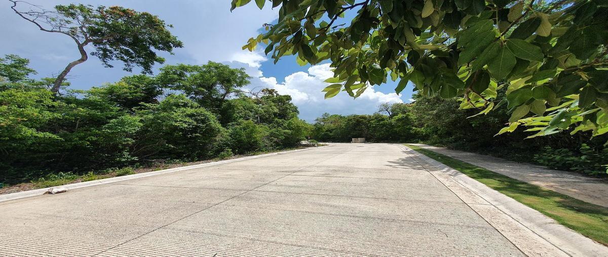 Foto de terreno habitacional en , akumal, tulum, quintana roo, 0 foto 02 Foto de terreno habitacional en venta en , akumal, tulum, quintana roo, 0 No. 02