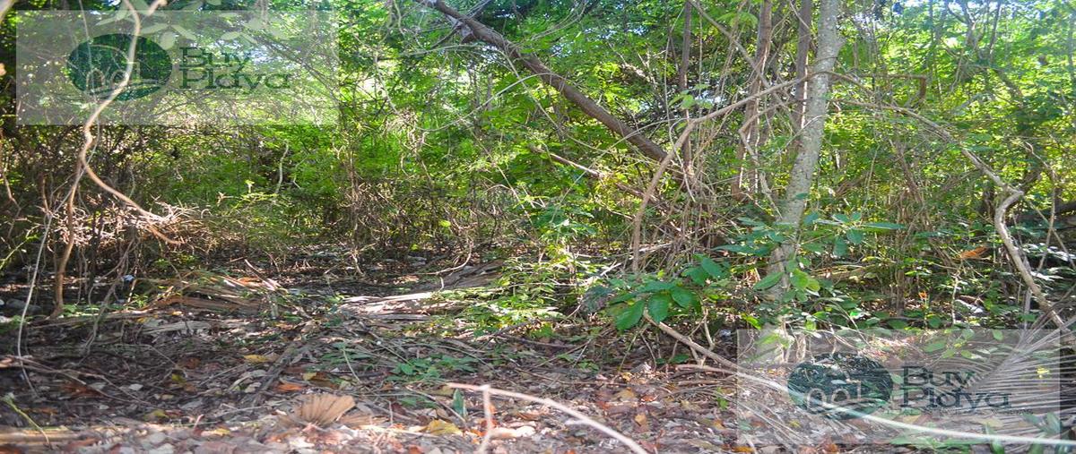 Foto de terreno habitacional en , akumal, tulum, quintana roo, 29888224 foto 03 Foto de terreno habitacional en venta en , akumal, tulum, quintana roo, 29888224 No. 03