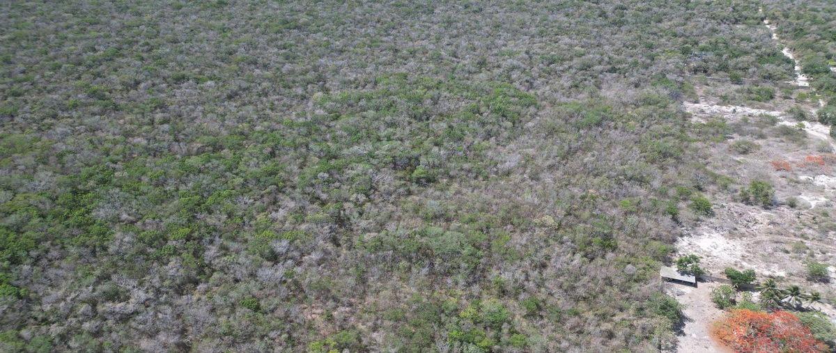 Foto de terreno habitacional en venta en  , akumal, tulum, quintana roo, 30090600 No. 03