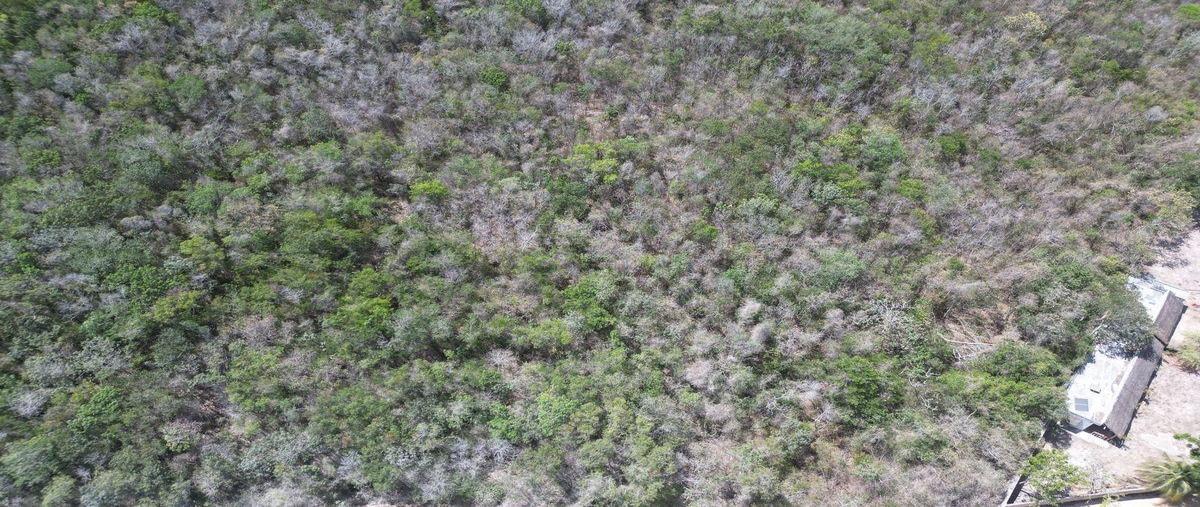 Foto de terreno habitacional en venta en  , akumal, tulum, quintana roo, 30090600 No. 04