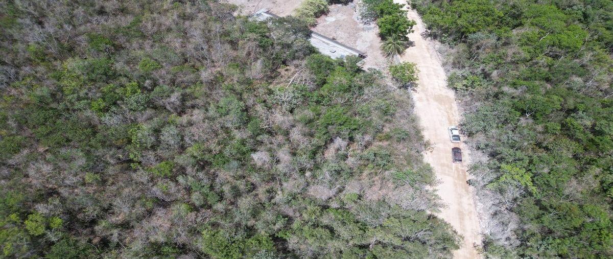 Foto de terreno habitacional en venta en  , akumal, tulum, quintana roo, 30090600 No. 05