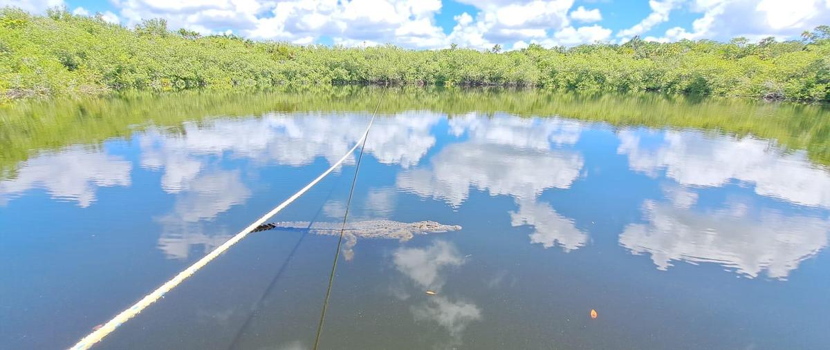 Foto de terreno habitacional en venta en  , akumal, tulum, quintana roo, 30427806 No. 04