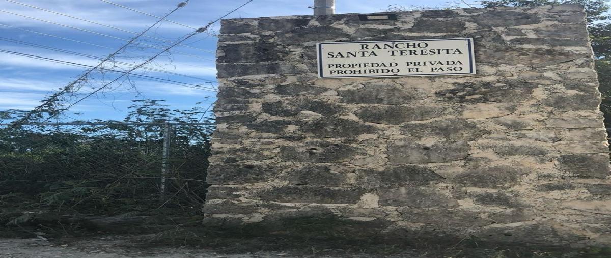 Foto de casa en renta en  , akumal, tulum, quintana roo, 30512898 No. 04