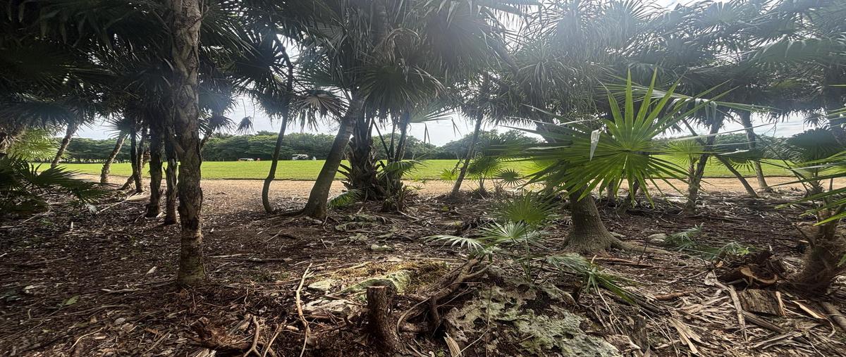 Foto de terreno habitacional en venta en  , akumal, tulum, quintana roo, 0 No. 03