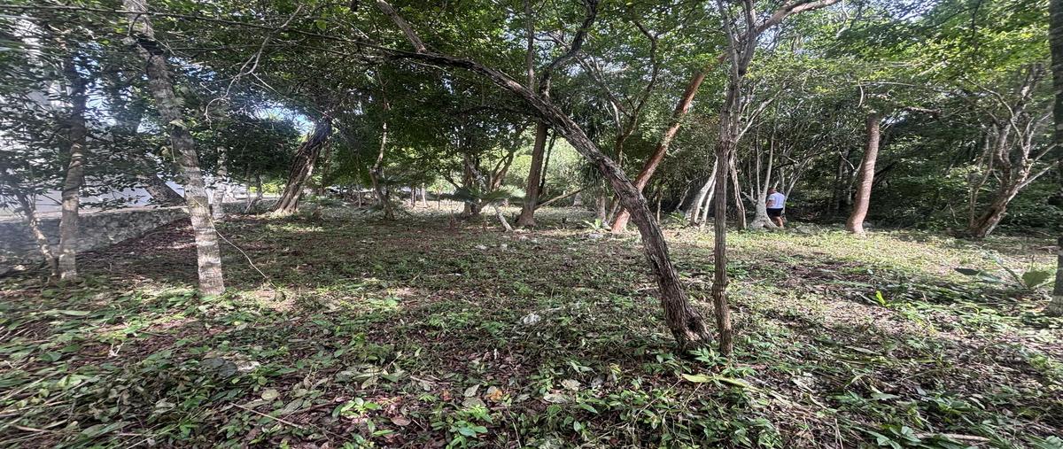 Foto de terreno habitacional en venta en  , akumal, tulum, quintana roo, 0 No. 05