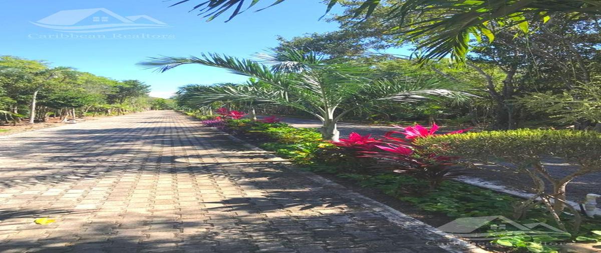 Foto de terreno habitacional en venta en  , akumal, tulum, quintana roo, 0 No. 03