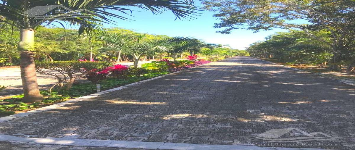 Foto de terreno habitacional en venta en  , akumal, tulum, quintana roo, 0 No. 05