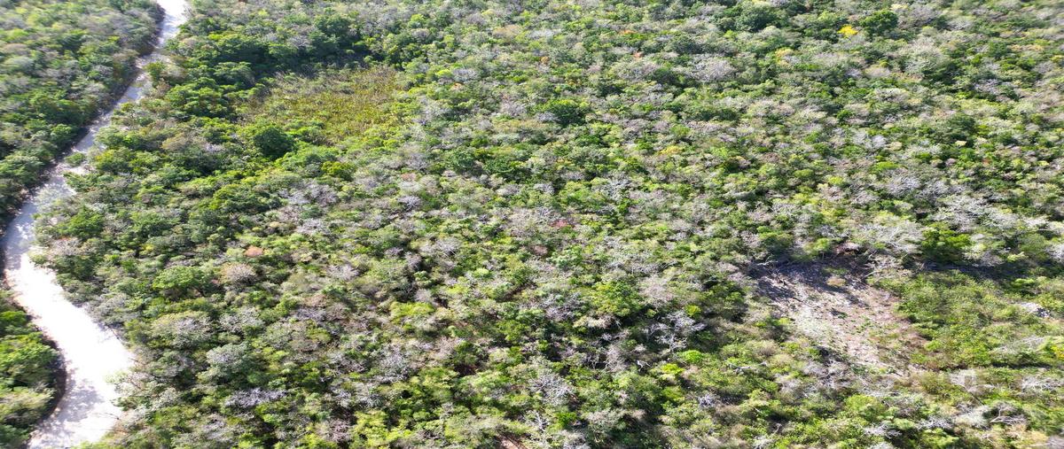 Foto de terreno habitacional en venta en  , akumal, tulum, quintana roo, 31059980 No. 04