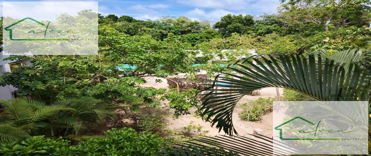 Foto de departamento en venta en  , akumal, tulum, quintana roo, 31134793 No. 03