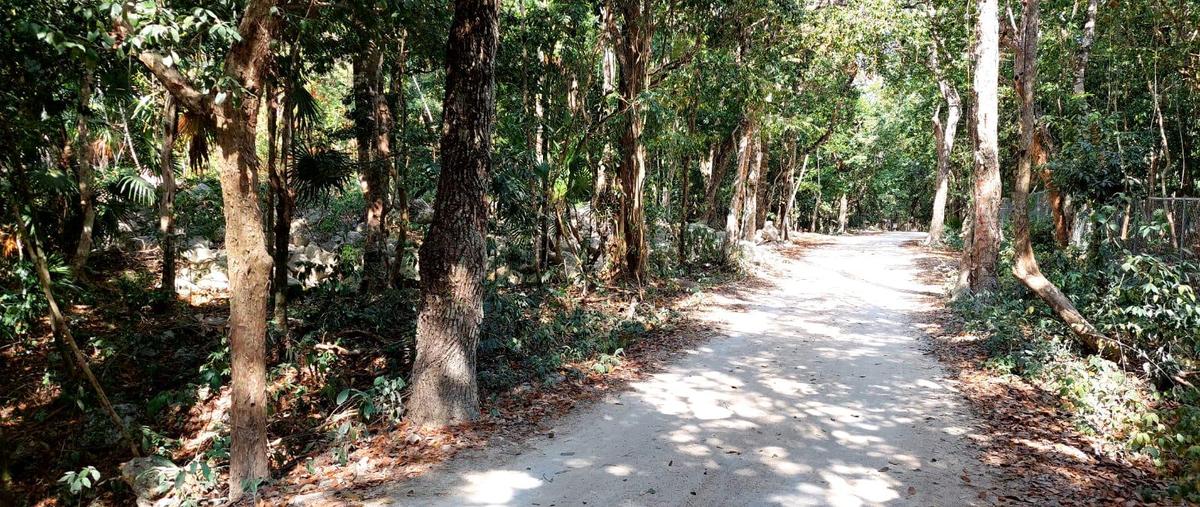 Foto de terreno habitacional en venta en  , akumal, tulum, quintana roo, 0 No. 04