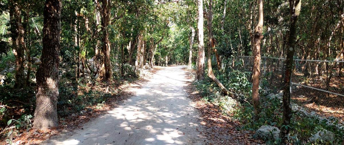 Foto de terreno habitacional en venta en  , akumal, tulum, quintana roo, 0 No. 05