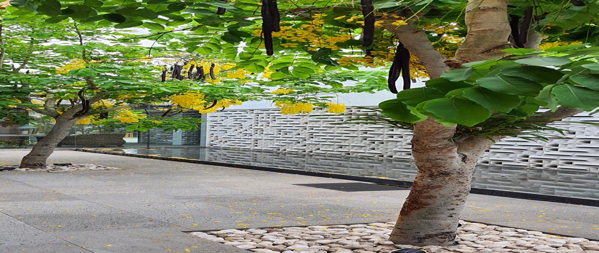 Foto de casa en al campo de golf , lomas de cocoyoc, atlatlahucan, morelos, 30687712 foto 05 Foto de casa en venta en al campo de golf , lomas de cocoyoc, atlatlahucan, morelos, 30687712 No. 05