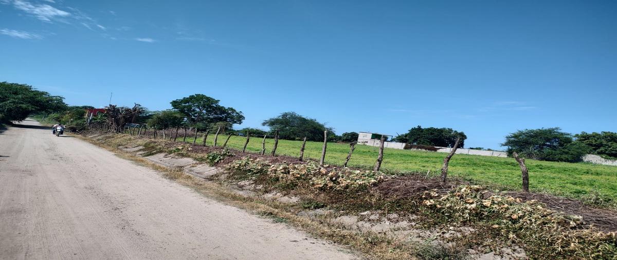 Foto de terreno habitacional en venta en al noroeste de san josé del valle , san josé del valle, bahía de banderas, nayarit, 25353107 No. 03
