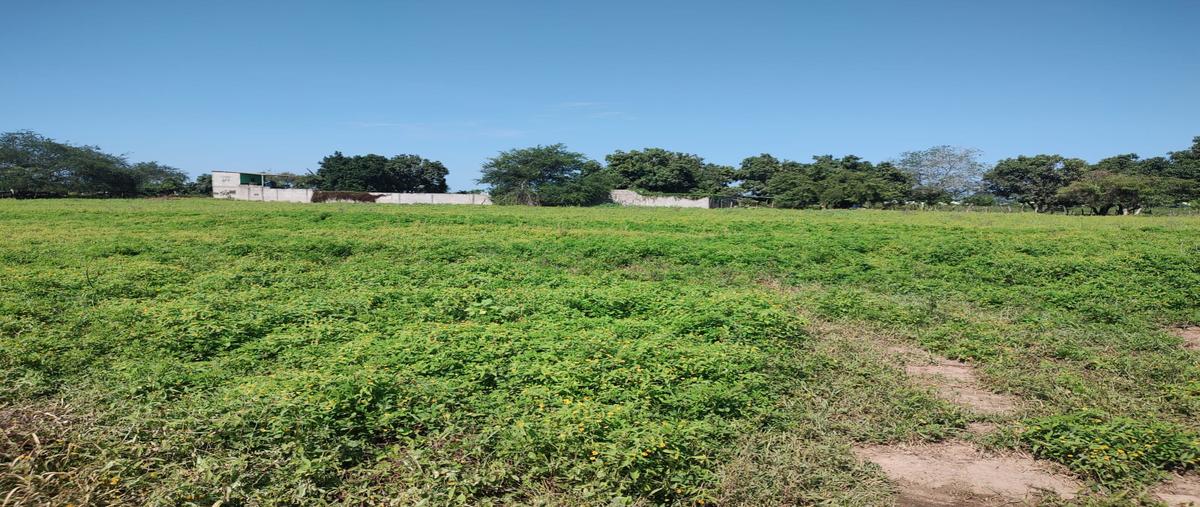Foto de terreno habitacional en venta en al noroeste de san josé del valle , san josé del valle, bahía de banderas, nayarit, 25353107 No. 04