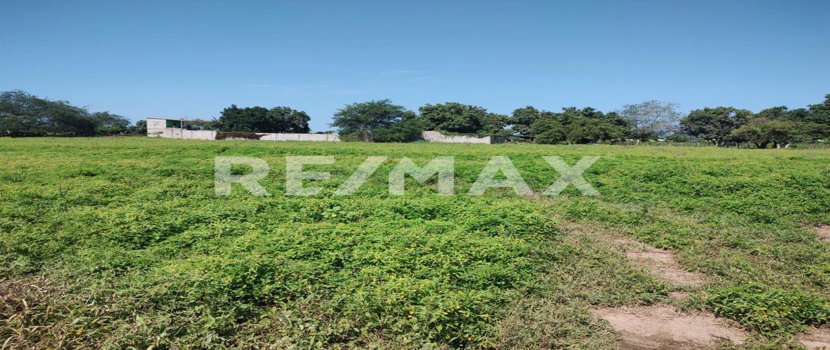 Foto de terreno habitacional en al noroeste de san josé del valle , san josé del valle, bahía de banderas, nayarit, 25353107 foto 04 Foto de terreno habitacional en venta en al noroeste de san josé del valle , san josé del valle, bahía de banderas, nayarit, 25353107 No. 04