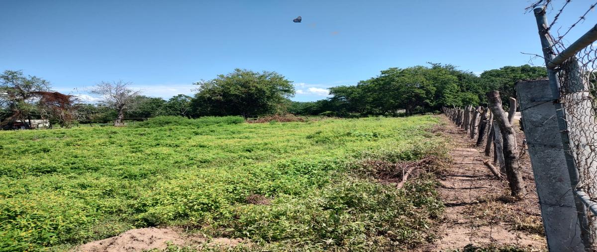 Foto de terreno habitacional en venta en al noroeste de san josé del valle , san josé del valle, bahía de banderas, nayarit, 25353107 No. 05